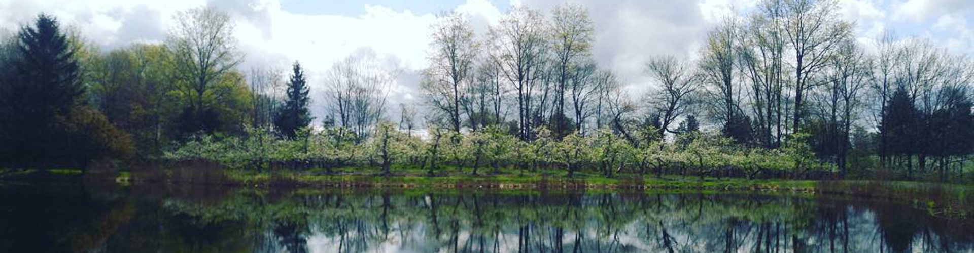 Jenkins-Lueken Orchards